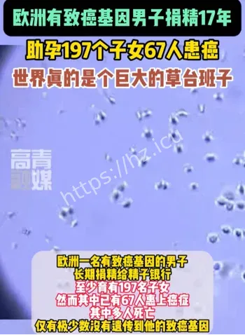精子银行筛查漏洞