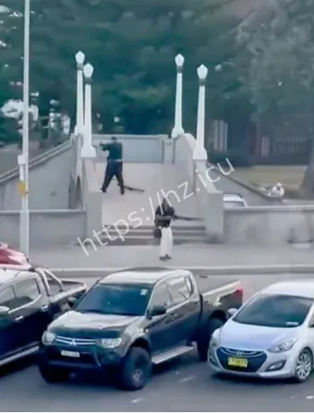 澳洲父子枪手恐怖袭击