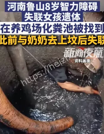 女童化粪池遇难