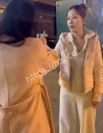 抓头发猛扇耳光