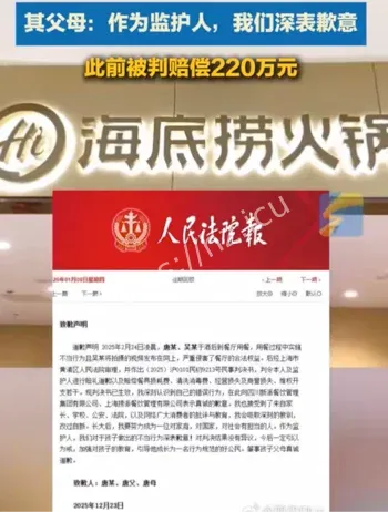 监护人赔偿220万