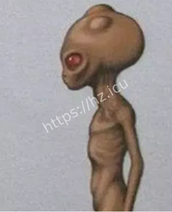 瓦尔吉尼亚灰人