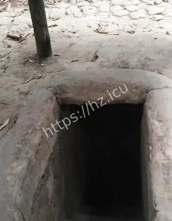 树洞下面竟是
