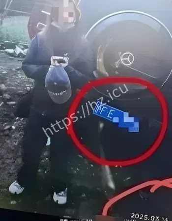 让助理顶包登热搜