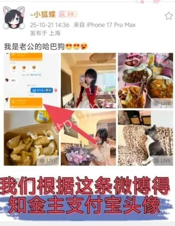 金主王凯中身份被扒