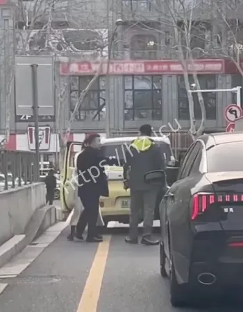 路怒男VS无赖女司机