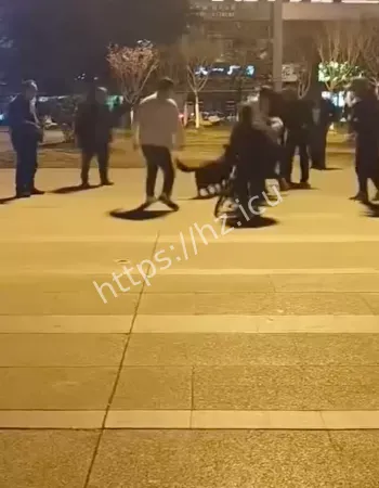 黑狗疯狂撕咬小孩