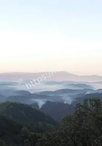 云南普洱邀游客旅居感网友