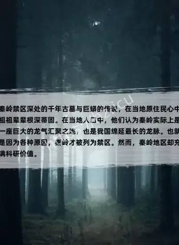 秦岭原始森林