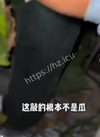 听声辨瓜
