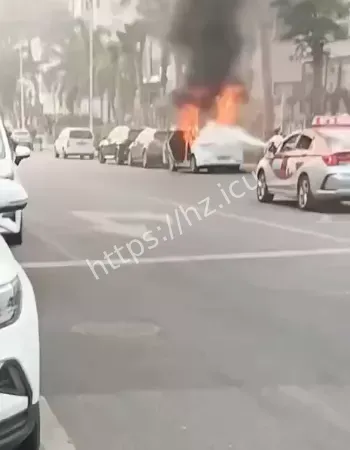 引燃周边电动车