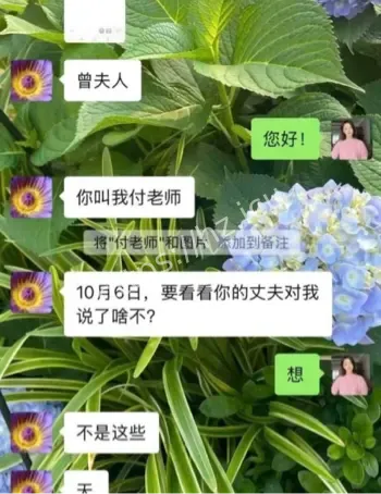 办公室恋情聊天记录