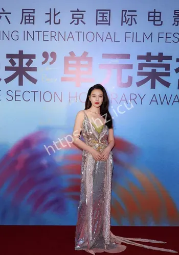 高圆圆北造型焦点