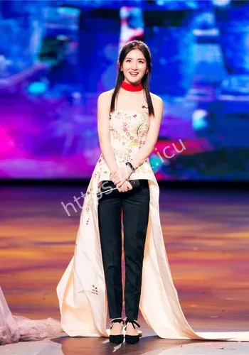 谢娜成都演唱会时间线