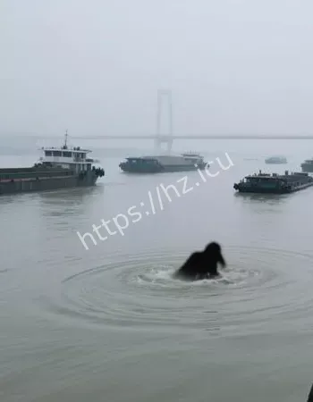 远看像怪兽浮出水面