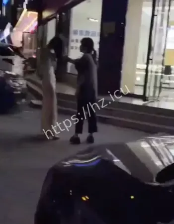 奥迪小三被逼跳河