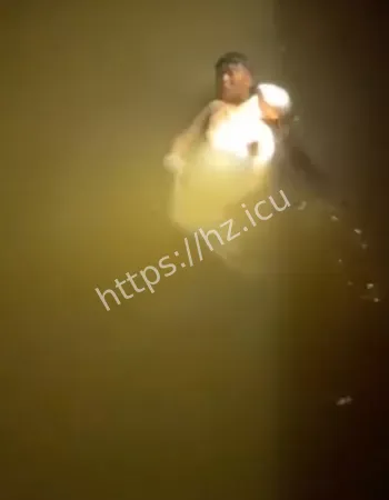 奥迪小三被逼跳河