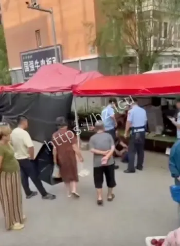 辽宁铁岭西瓜摊情杀案