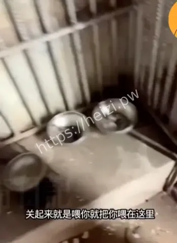 电诈园区被摧毁现场曝光