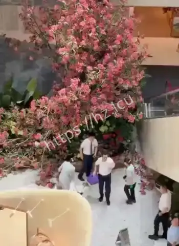 被一千万巨额罚款逼跳楼