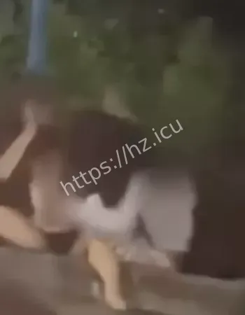抓头发撕衣服