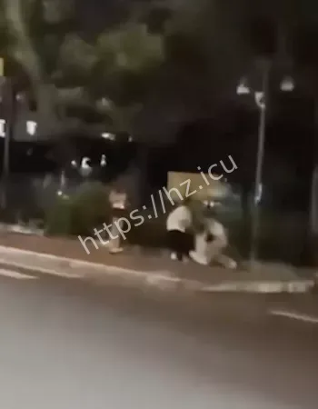 拍下混乱一幕
