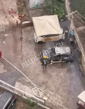 电车自然事件